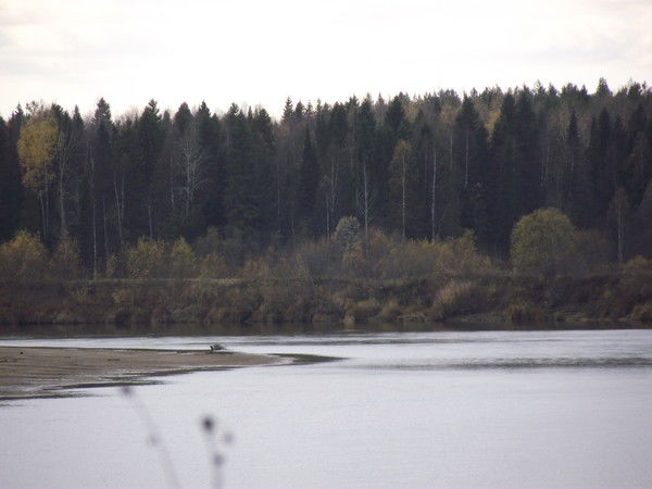 Евгений Хохлов