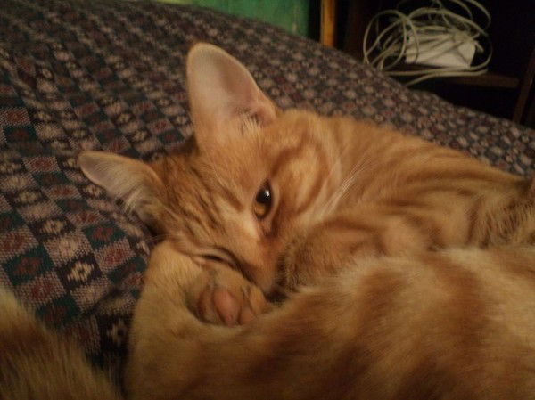 Михаил Вишняк