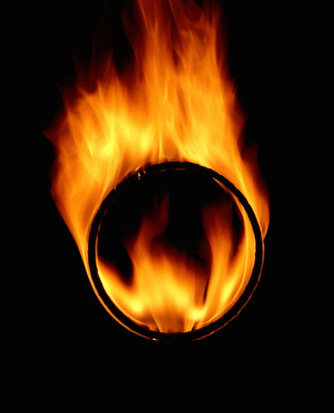 Алексей Огородников