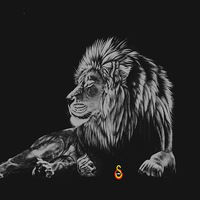 Серёжа Чернега