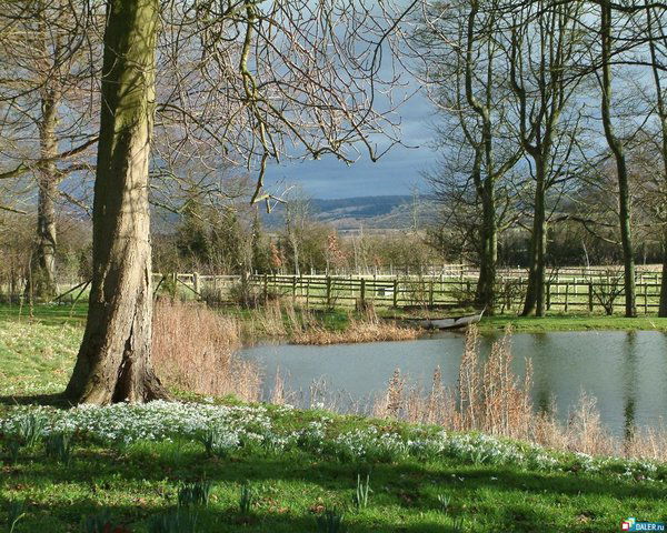 Наталья Батенина