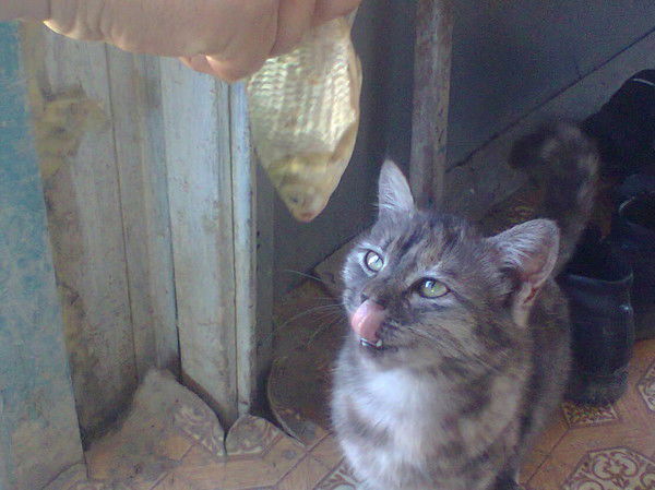 Рыболовные Снасти М-Н Барыс