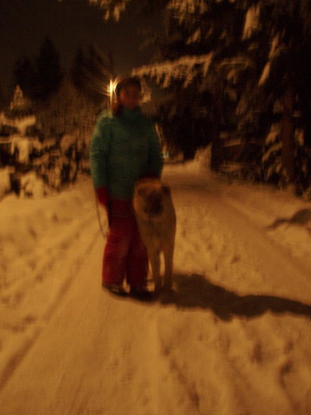 Яна Свиланович