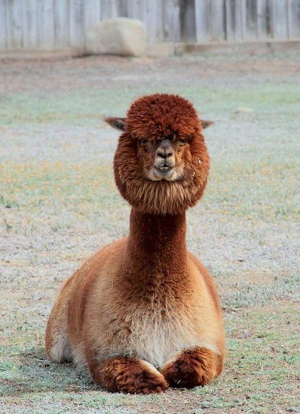 Вікторія _._._.