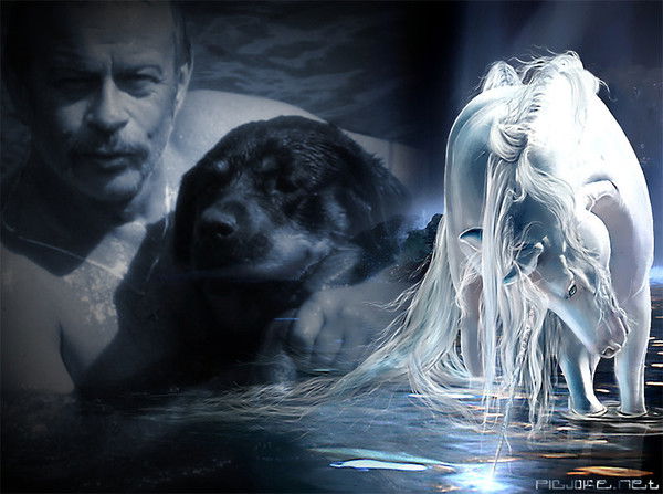 Андрей Цветков