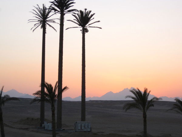 Дмитрий Харитончик