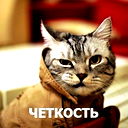 Даша Щептева