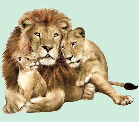 Алексей Волкогон