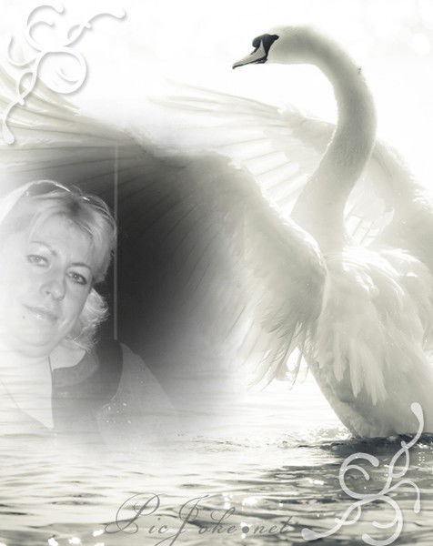 Елена Корнеева