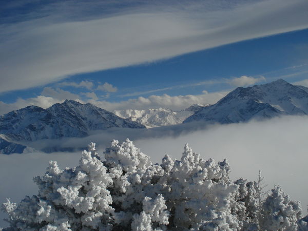 Владимир Смирнов