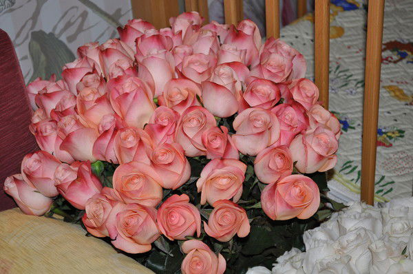 Людмила Протасова