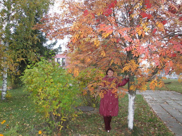 Вера Веретило