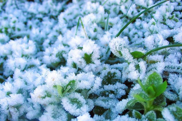 Татьяна Суркова