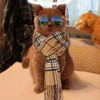 Михаил Чемезов