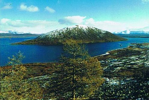 Сергей Зимин