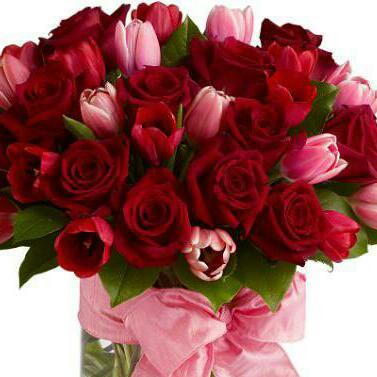 Улжан Касымова