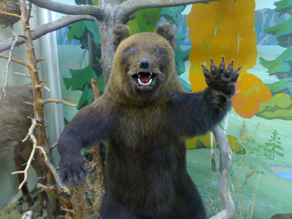 Михаил Сибилев