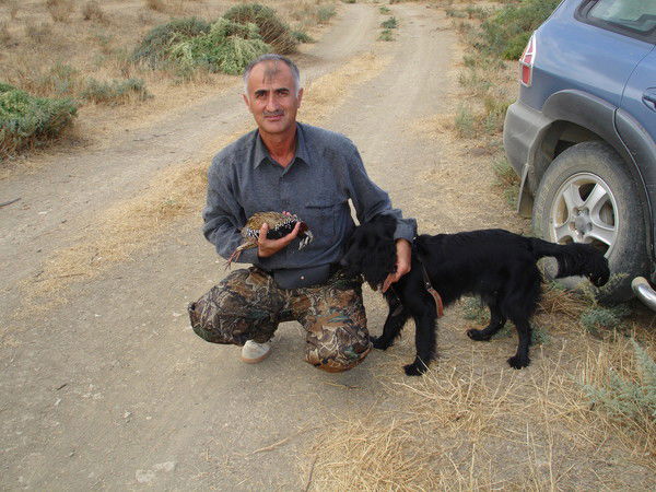 Shemseddin Nurullayev