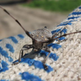 Сергей Сивков