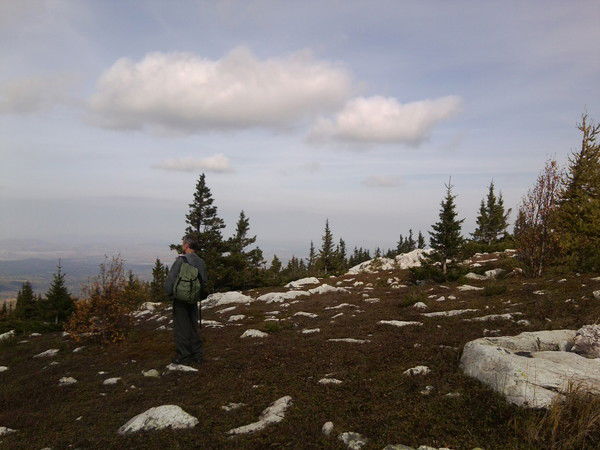 Анжела Попкова