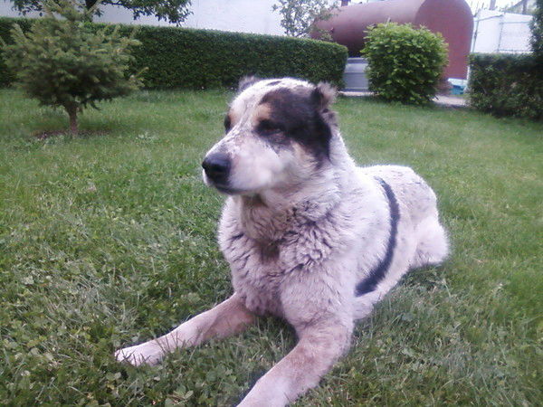 Ирина Бабаева