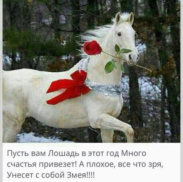 Асель Байжанова