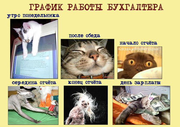 Галина Осипова