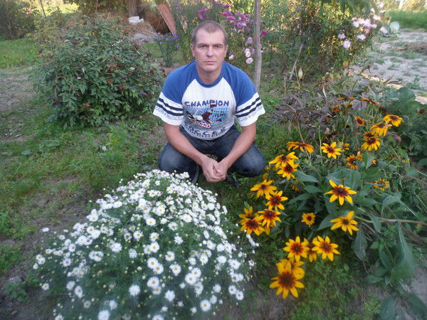 Владимир Корниенко