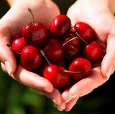 Милана Герасимович