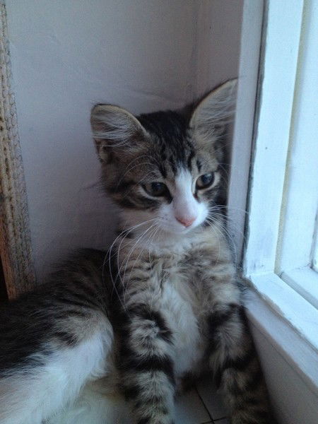 Людмила Иванцова