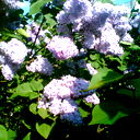 Феодор Хрусталев