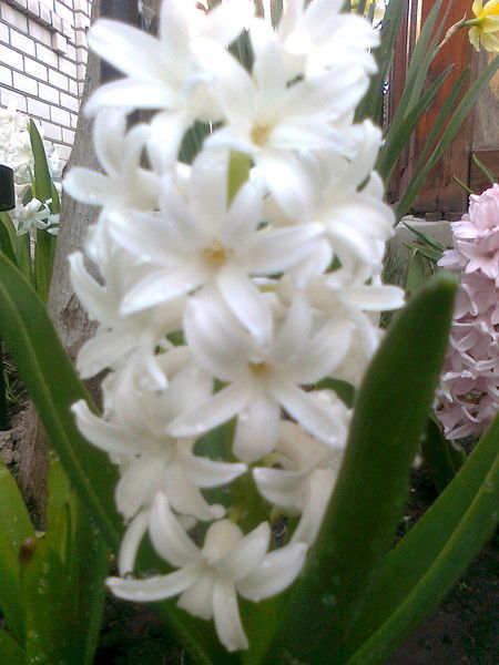 Наталья Леншина