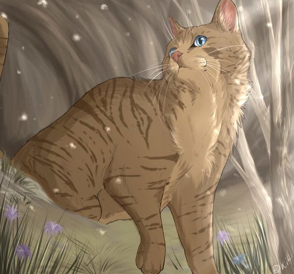 Лилия Чекалова