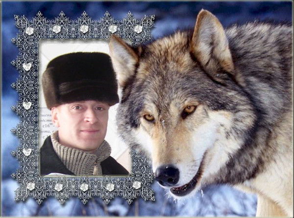 Дмитрий Логинов