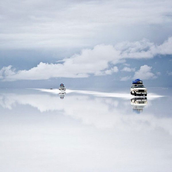 Наталья Алексенцева