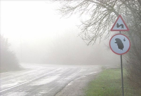 Лена Сяйлева