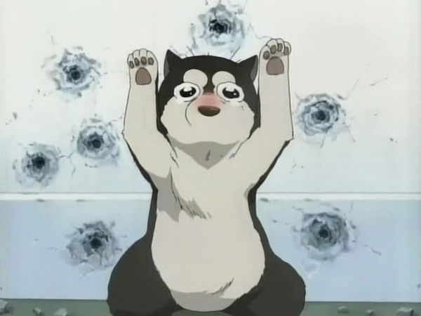 Юлия Ипатова