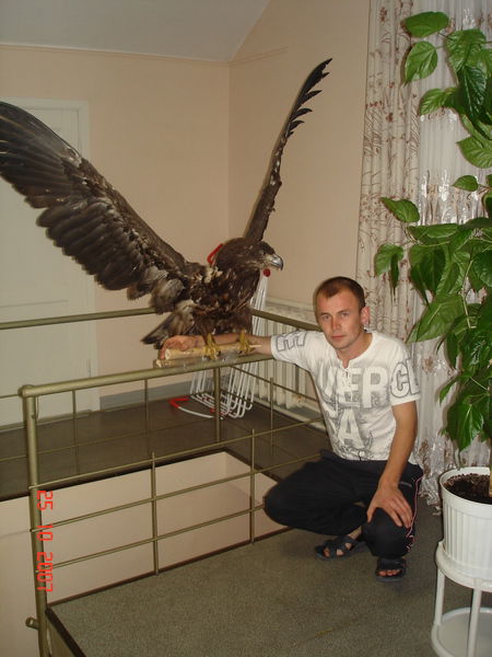 Андрей Кононов