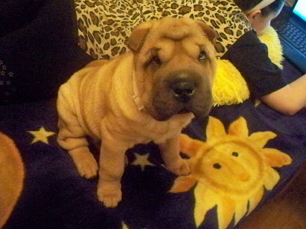 Иван Иванов