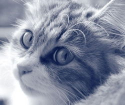 Алексей Захаров