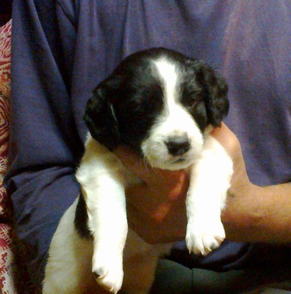 Валентина Трегубова