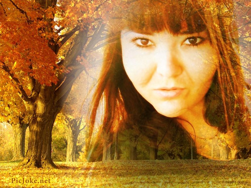 Татьяна 子猫