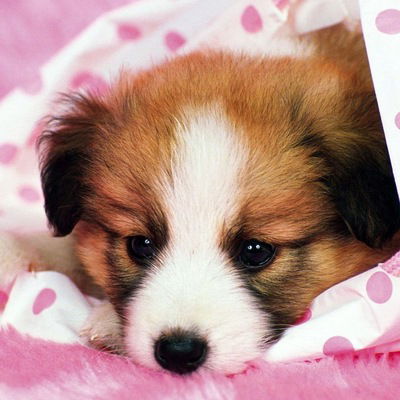 Алена Имаева