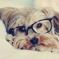 Дарья Орлова