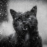 Полина Игоревна