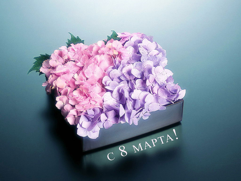 Надежда Епифанова