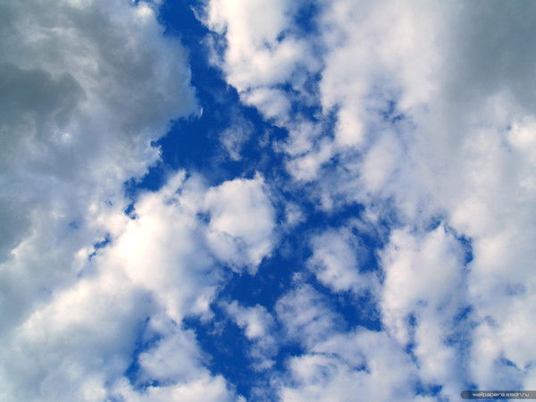 Максим Лобанов