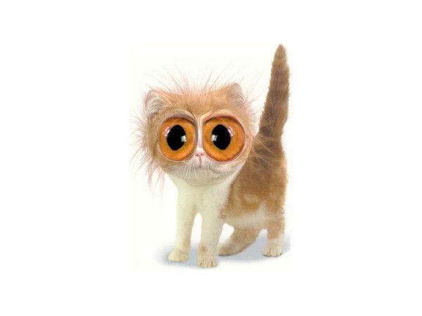 Светлана Федорова