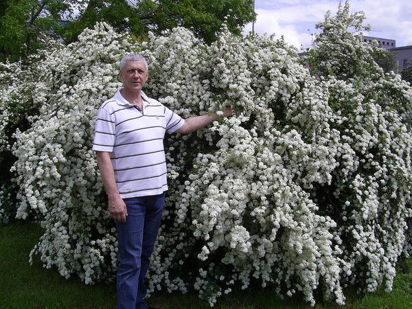 ๑۩۩๑ Vikont ๑۩۩๑