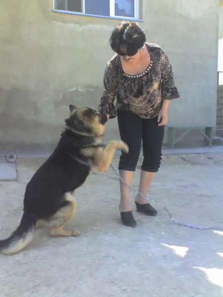 Гулнар Айтимова